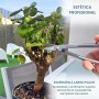 Kit Herramientas Bonsái Profesional – Estuche Para Mantenimiento de Bonsais con Tijeras, Podadora Cóncava y Podadora Recta