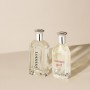 Tommy Hilfiger – Tommy Eau de Toilette 100 ml – ​​​​Perfume de Hombre – Fragancia Fougère – Notas Cítricas y Tonos Frutales –