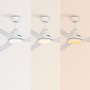 CREATE / WINDSAIL/Ceiling fan with white light with control/XL, copper AC motor, silent, timer from 1h to 4h, 2 heights, 3 light