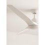 CREATE / WINDSAIL/Ceiling fan with white light with control/XL, copper AC motor, silent, timer from 1h to 4h, 2 heights, 3 light
