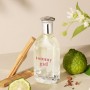 Tommy Hilfiger – Tommy Girl Eau de Toilette – 100 ml – Perfume de Mujer – Fragancia Floral Frutal – Fragancia Floral Muy Fresca