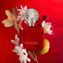 Shakira, Perfumes, ROJO by Shakira Eau de Parfum para Mujer, Larga Duración, Fragancia Potente, Sensual y con encanto, Notas