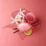 Shakira, Perfumes, Rock by Shakira para Mujer, Larga duración, Fragancia femenina, fresca y dinámica, Notas frutales y florales,