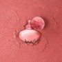 Shakira, Perfumes, Rock by Shakira para Mujer, Larga duración, Fragancia femenina, fresca y dinámica, Notas frutales y florales,