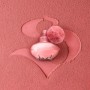 Shakira, Perfumes, Rock by Shakira para Mujer, Larga duración, Fragancia femenina, fresca y dinámica, Notas frutales y florales,