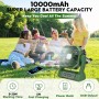 BIBURY Camping Fan with LED Light, Rechargeable for Outdoor Camping Tent with Hook and Remote, Powerful 4 Speed USB Desk Fan for