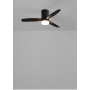 CREATE / WINDCALM S/Ceiling fan with white light wood blades with control/40W, silent, Ø112 cm, 6 speeds, 3 light temperatures,