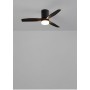 CREATE / WINDCALM S/Ceiling fan with white light wood blades with control/40W, silent, Ø112 cm, 6 speeds, 3 light temperatures,