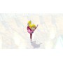Mario & Sonic at the Olympic Winter Games (Wii) [Importación inglesa]