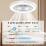 Ateroll Ceiling Fan with Light and Remote Control, Ø54CM Silent Fan, 6 Adjustable Wind Speed with Remote Control, Timer, Light