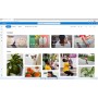 Microsoft Sistema operativo Windows Home FPP 11 64-bit Español 1 Licencia