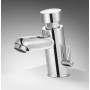 HOMSSY Grifo Temporizado para Lavabo, 2 Aguas (Agua Caliente y Fría), Diseño Cromado, Control Eficiente de Agua