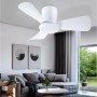 activeallbrite Ceiling Fan, 15W LED, DC Motor 20W, 6 Speeds, Ultra Quiet, Summer-Winter Function, Timer, 3 Light Temperatures,