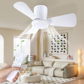 activeallbrite Ceiling Fan, 15W LED, DC Motor 20W, 6 Speeds, Ultra Quiet, Summer-Winter Function, Timer, 3 Light Temperatures,