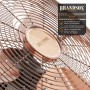 Brandson Desktop Fan - 30cm Diameter - Silent Table Fan - Retro Style Fans - 48 Watt - Vintage - High Speed Fans - Copper
