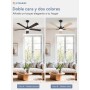 ZMISHIBO Ceiling Fan with Light, Ø132 cm, Efficient DC Motor, 6 Speeds, 3 Colour Temperatures (3000K, 4000K, 6000K), Modern