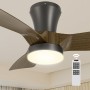 Epochglo Ceiling Fan with Light, 80 cm, 3000 K-5000 K, Adjustable, 7 Speeds, Reversible Blades, 2200LM Ceiling Fan and Control,