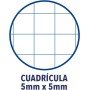 Oxford - Hojas Cuadriculadas A4 Perforadas, Recambio Archivador, 160 Hojas, Cuadrícula 5x5, 10 Colores de Banda