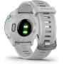 Garmin Forerunner 55 - Reloj inteligente para running con GPS, planes de entrenamiento, notificaciones y seguimiento del