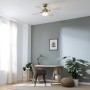 Cecotec EnergySilence Aero 450 Ceiling Fan with Light, 50 W, Energy Saving, 106 cm Diameter, Light, 4 Reversible Blades, 3