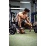 Fitgriff® Straps Gym - Correas Levantamiento de Pesas para Lifting, Gimnasio - Accesorios Fitness Mujer y Hombre