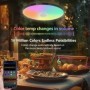 Luz de techo inteligente RGB, luz LED con altavoz, 30W, 36W, Audio, re