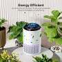 QEXREED Home Allergy Air Purifier, High Efficiency HEPA Filter, 3 Speeds & Timer, Removes Allergens & Particles