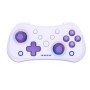 MINI mando inalámbrico multifuncional para Switch con luces RGB y basc