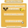 PINTURAS ECU - Pintura Suelos, Garajes y Pavimentos Deportivos en general - 4L - Acabado Mate - Protege y decora las superficies
