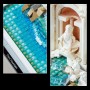 LEGO Architecture Fontana di Trevi Maqueta para Construir para Adultos, Monumento Italiano de Fuente Barroca y Minifiguras,