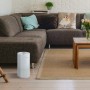 Mellerware - Freshly! Small Air Purifier | 3 Filters | HEPA Filter 13 + Active Carbon | Air Quality Indicator | 50W | Air