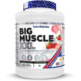 Perfect nutrition Big Muscle XXL - 2,7 kg Fresa