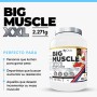 Perfect nutrition Big Muscle XXL - 2,7 kg Fresa