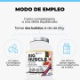Perfect nutrition Big Muscle XXL - 2,7 kg Fresa