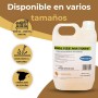LYSSOLEN - Barniz de Poliuretano al Agua para Suelos de Madera Interior - Respetuoso con el Medio Ambiente - Protección y