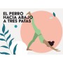 Yoga Asana 50 posiciones y 25 secuencias para que tu cuerpo y mente fluyan