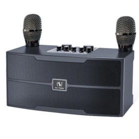 Micrófono portátil inalámbrico de alta potencia de 120W, Altavoz Bluet