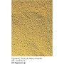 SC Pigments® Ref: Color Negro 55 · Pigmento colorante Negro (Fe2O3) para cemento, mortero, hormigón, yeso y cal. Serra Ciments®