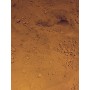SERRA CIMENTS SC Pigments® Pigmento colorante para cemento, mortero, hormigón/Bolsa 5 kg (Pardo Figueras)