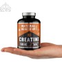 Creatina monohidratada – Complemento alimenticio que facilita el aumento de la masa muscular y refuerza la resistencia y mejora