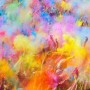 Pack Enjoy de polvos Holi - 100 bolsas de 100 gramos - 8 colores