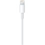 Apple ME291ZM/A - Cable Lightning a USB (0.5 m), Blanco
