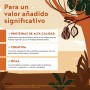 Proteina en Polvo | Chocolate | 600g | 18g Proteinas Vegana por 30g con BCAAs, Monohidrato de Creatina y Aminoácidos Esenciales