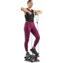 Sunny Health & Fitness Mini Steppers para Ejercicio, Escalones de Bajo Impacto, Equipo de Cardio de Cuerpo Completo, con