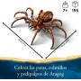 LEGO Harry Potter Aragog en el Bosque Prohibido Juguete de Construcción con Figura de Araña, 2 Minifiguras Inc Ron Weasley,