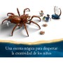 LEGO Harry Potter Aragog en el Bosque Prohibido Juguete de Construcción con Figura de Araña, 2 Minifiguras Inc Ron Weasley,