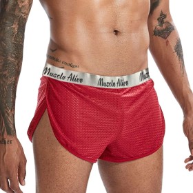 Hombres Extremo Malla Pantalones Cortos con Grande División Lados Ropa Interior Bóxers Bragas Slips