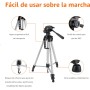 Amazon Basics Trípode ligero de 127 cm con funda, champán