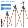 JOILCAN 187cm Trípode Ligero Cámara, Aluminio, para Canon Nikon Sony con Cabezal Giratorio Desmontable de 3 vía, con Soprtre de