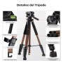 K&F Concept Tripode para Movil 190cm S255A3+BV01 Trípode Ligero Portátil de Tubo Perfilado de 5 Lados para DSLR, Cámara Réflex